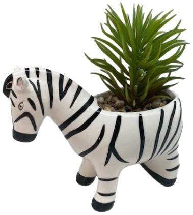 ZAC THE ZEBRA WITH PLANT