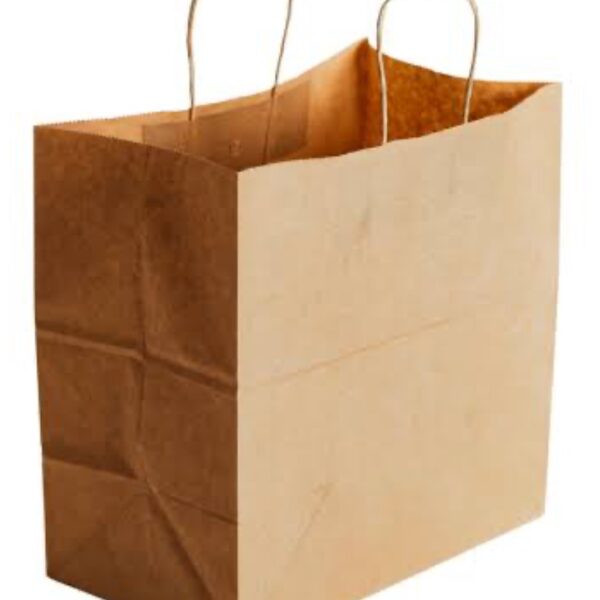 PAPER BAG WITH TWISTER HANDLE  305L X 175W X 300H MM