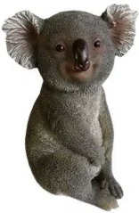 BABY KOALA