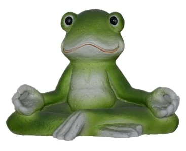 FENGSHUI FROG