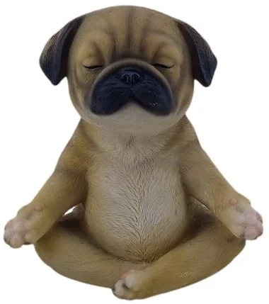 FENGSHUI PUG