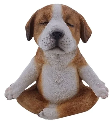 FENGSHUI PUPPY