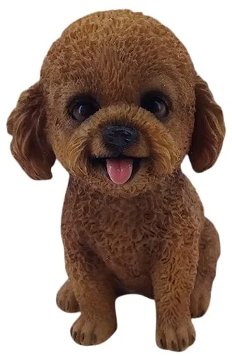 LABRADOODLE