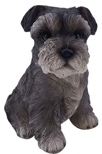 BABY SCHNAUZER