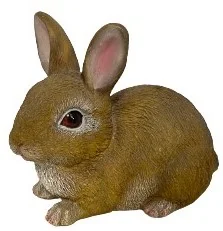 BABY RABBIT