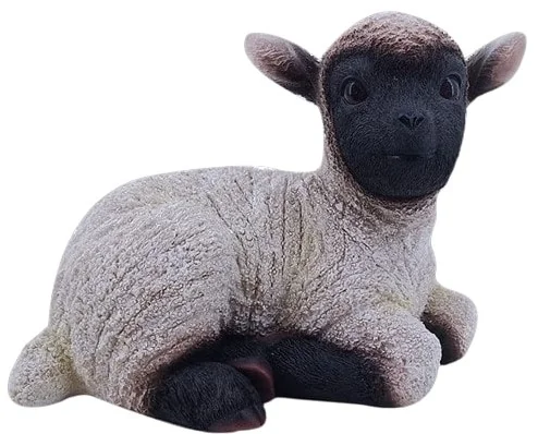 BABY LAMB