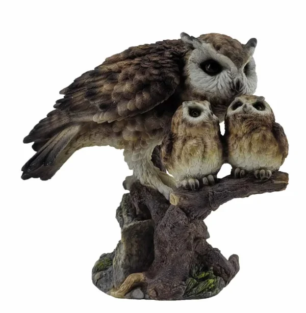 FAMILY OF OWLS