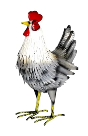 ROOSTER