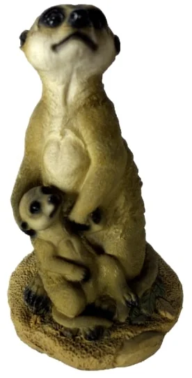 MEERKAT WITH BABY ON BOARD