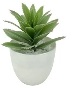 ALOE