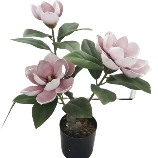 MAGNOLIA TREE
