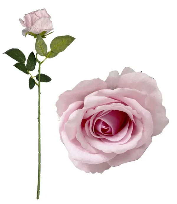 LIGHT PINK DIAMOND VELVET SINGLE STEM ROSE