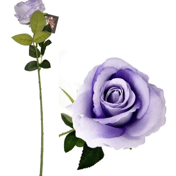 LILAC DIAMOND VELVET SINGLE STEM ROSE