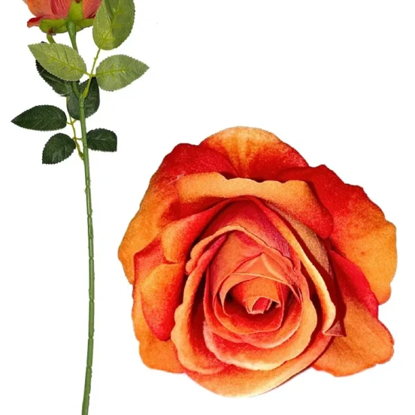ORANGE DIAMOND VELVET SINGLE STEM ROSE