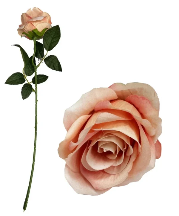 BLUSH PINK DIAMOND VELVET SINGLE STEM ROSE