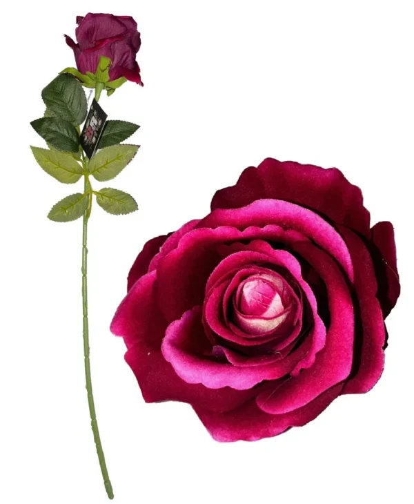 FUCHSIA DIAMOND VELVET SINGLE STEM ROSE