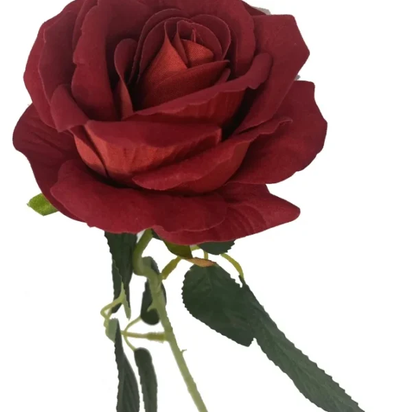 RED DIAMOND VELVET SINGLE STEM ROSE