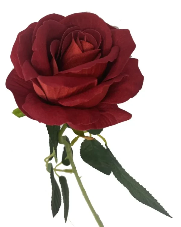 RED DIAMOND VELVET SINGLE STEM ROSE