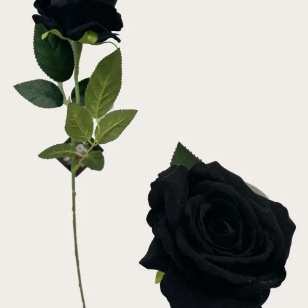 BLACK DIAMOND VELVET SINGLE STEM ROSE