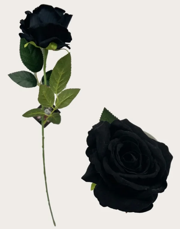 BLACK DIAMOND VELVET SINGLE STEM ROSE