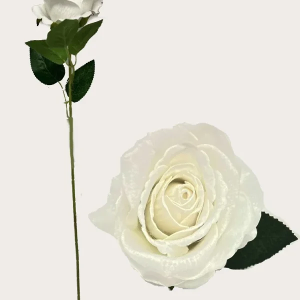 WHITE DIAMOND VELVET SINGLE STEM ROSE