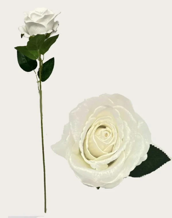 WHITE DIAMOND VELVET SINGLE STEM ROSE