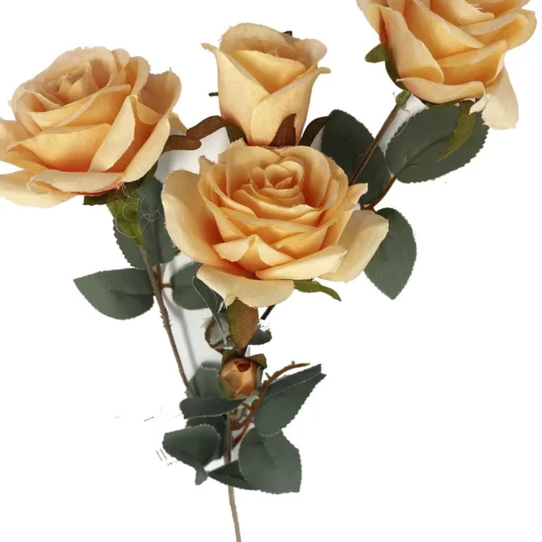 APRICOT GARDEN ROSE 4 HEAD