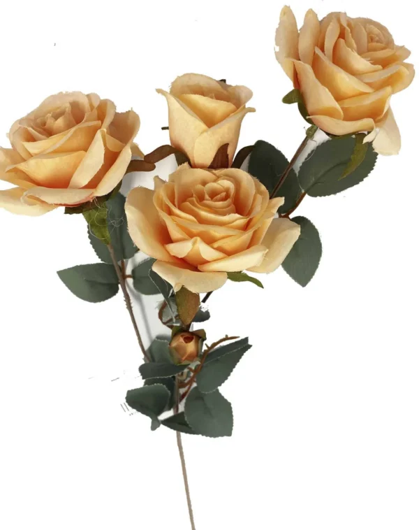 APRICOT GARDEN ROSE 4 HEAD