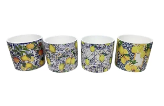CERAMIC POTS - SET OF 4 CITRUS