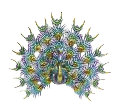 VIBRANT PEACOCK WALL ART