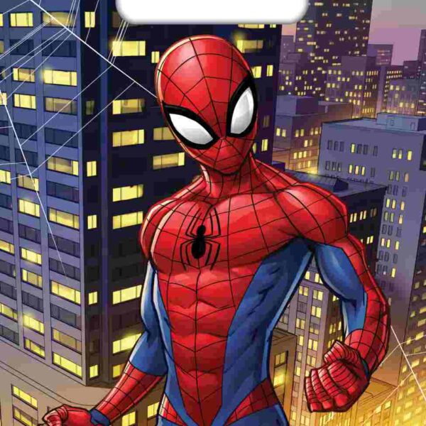 E11108.jpg PARTY BAG 8 Pack SPIDERMAN