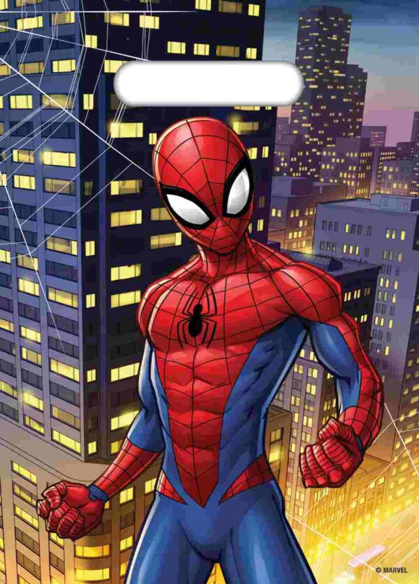 PARTY BAG 8 Pack SPIDERMAN