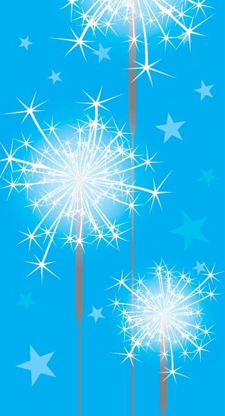 E11697.jpg SPARKLER STRAIGHT 16PK 24CM