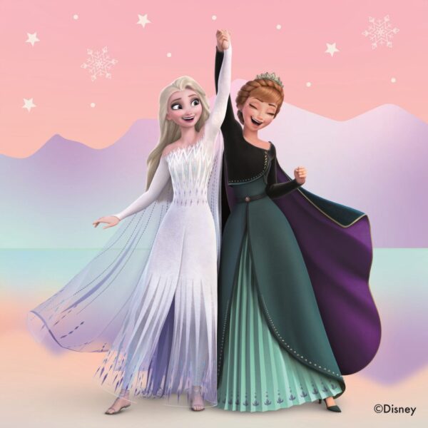 E9690-Z FSC MIX NAPKIN 20PK FROZEN-39 FSC Mixed Source Napkin 20 Pack FROZEN